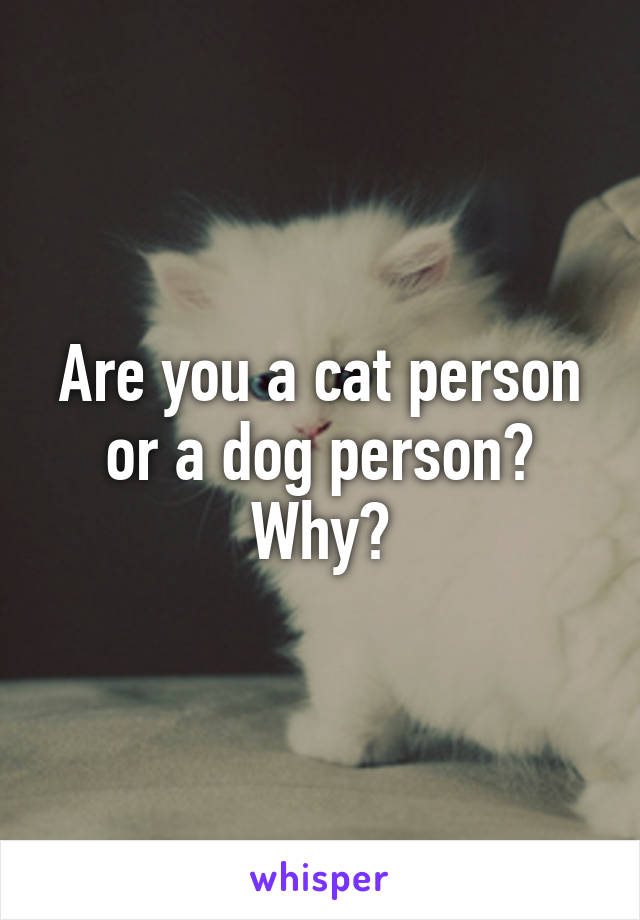 Are you a cat person or a dog person? Why?