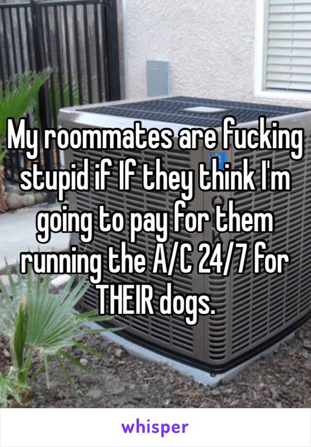 My roommates are fucking stupid if If they think I'm going to pay for them running the A/C 24/7 for THEIR dogs. 