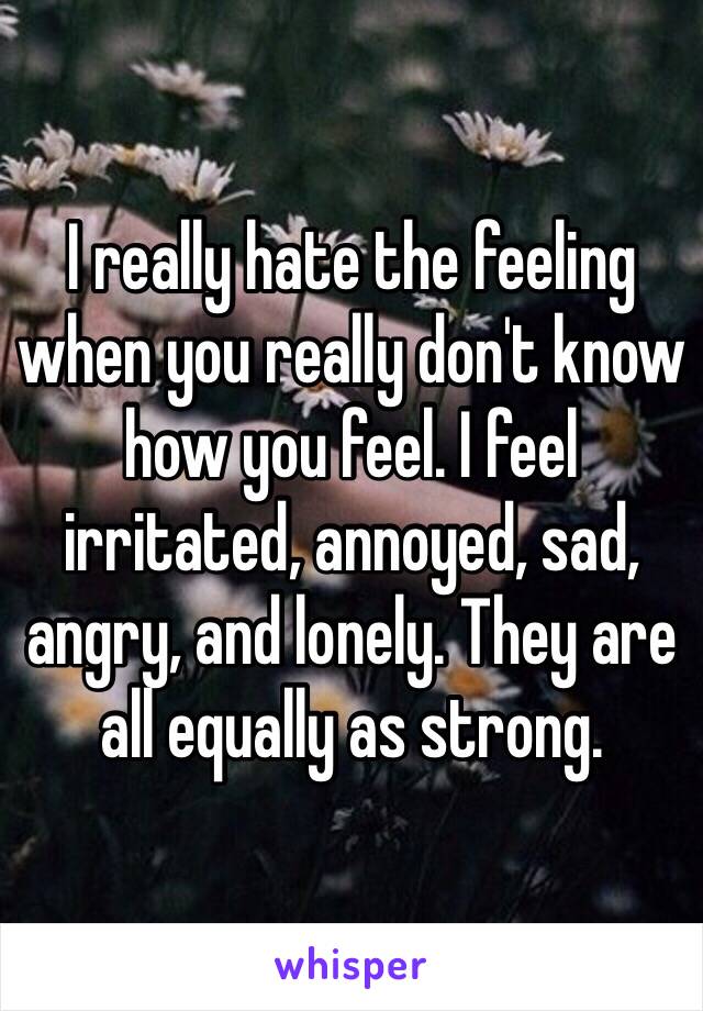 I really hate the feeling when you really don't know how you feel. I feel irritated, annoyed, sad, angry, and lonely. They are all equally as strong. 