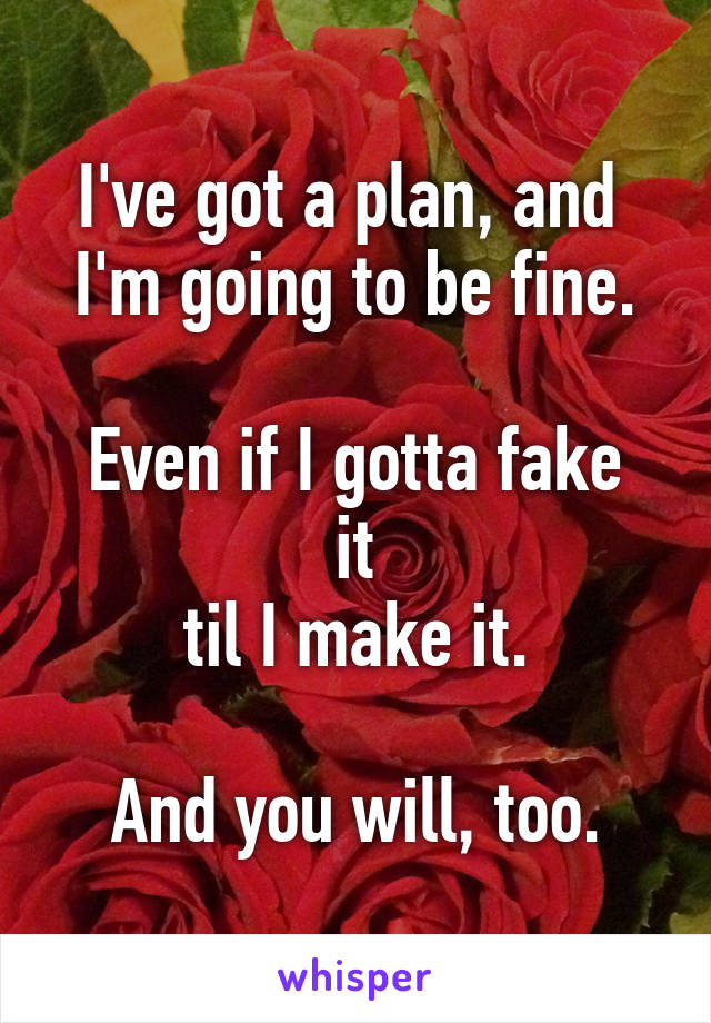 I've got a plan, and 
I'm going to be fine.

Even if I gotta fake it
til I make it.

And you will, too.