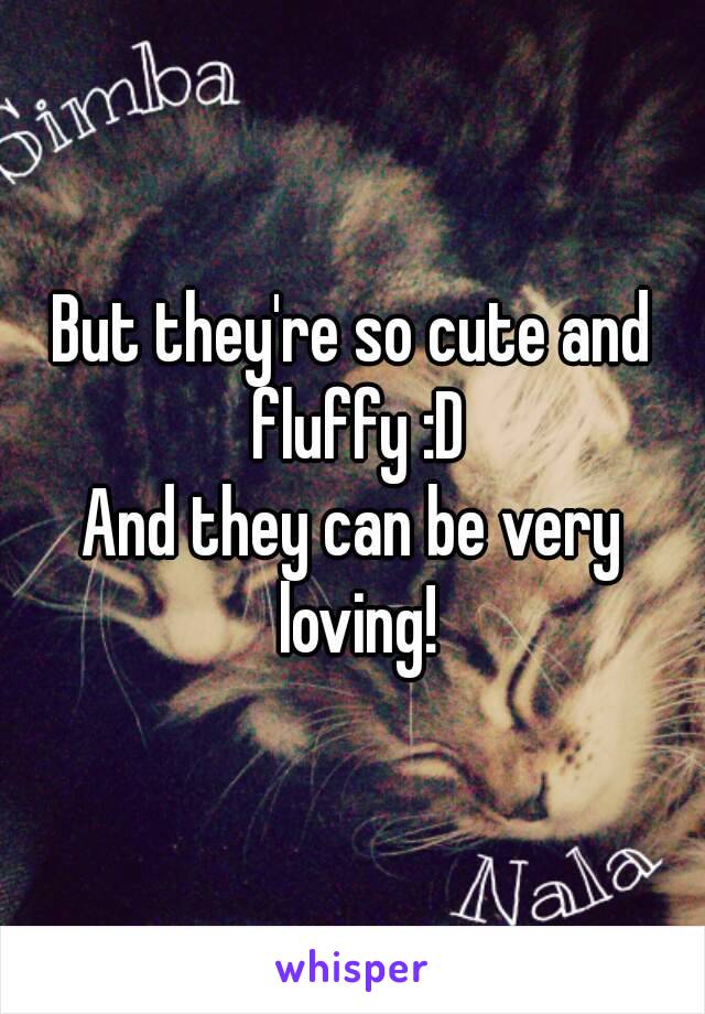 But they're so cute and fluffy :D
And they can be very loving!