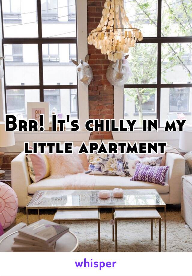 Brr! It's chilly in my little apartment