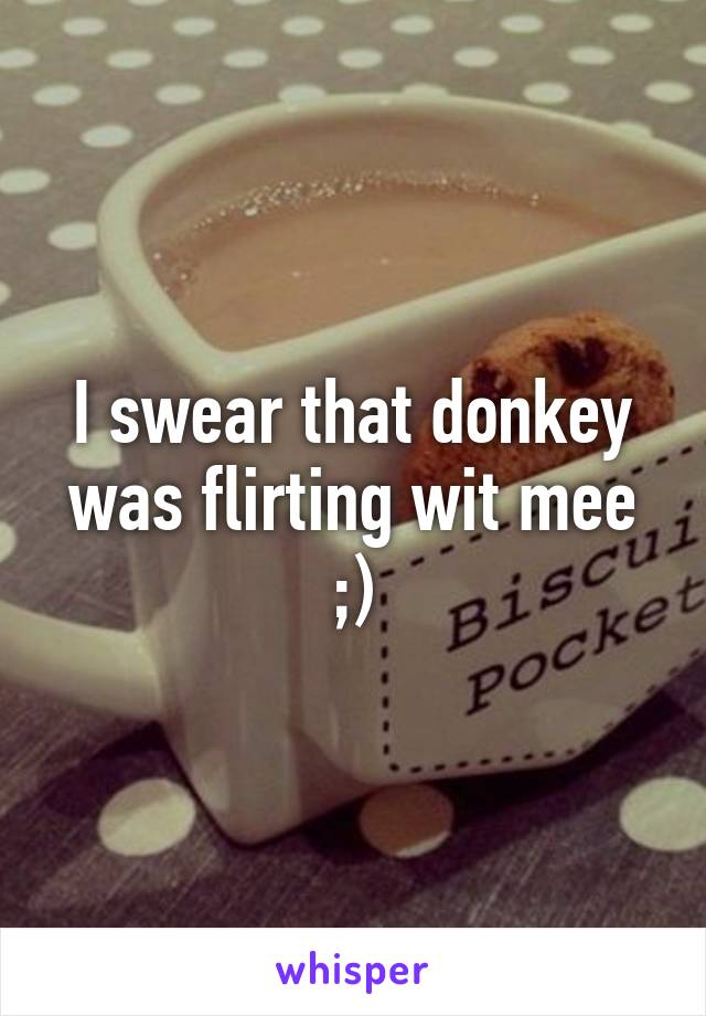 I swear that donkey was flirting wit mee ;)