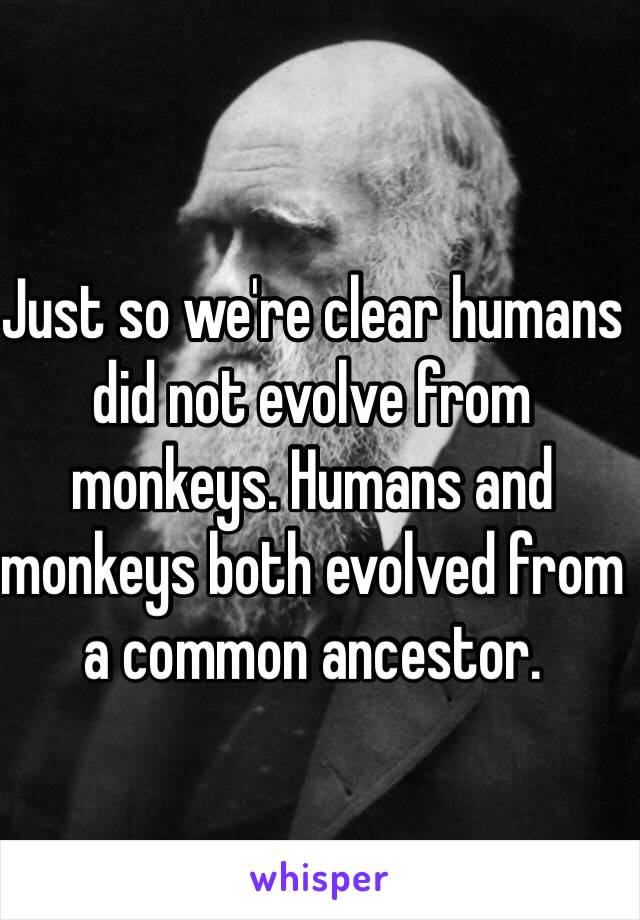 Just so we're clear humans did not evolve from monkeys. Humans and monkeys both evolved from a common ancestor. 