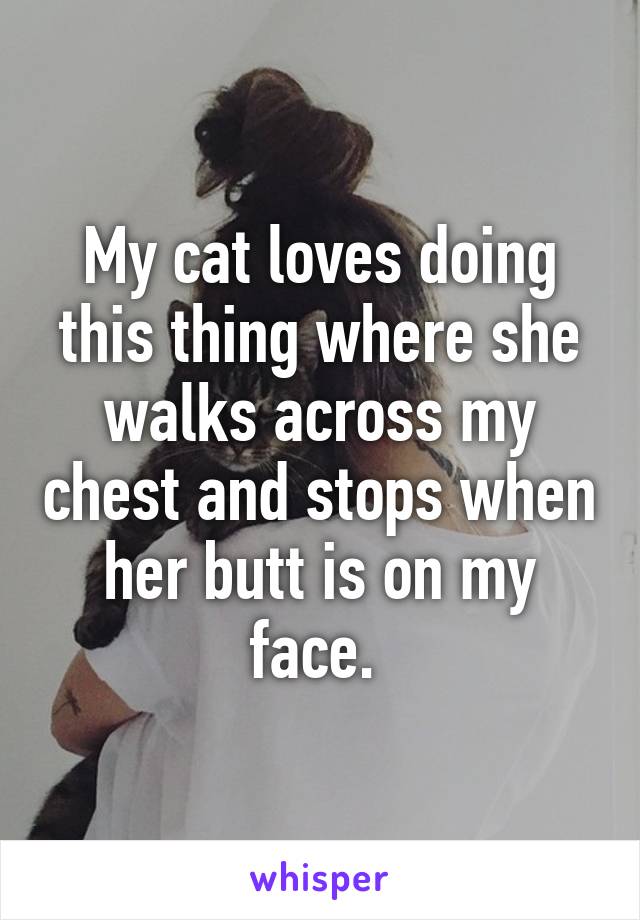 My cat loves doing this thing where she walks across my chest and stops when her butt is on my face. 