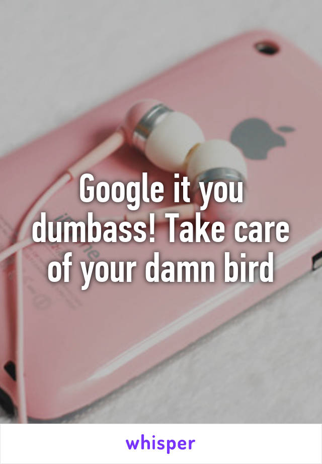 Google it you dumbass! Take care of your damn bird