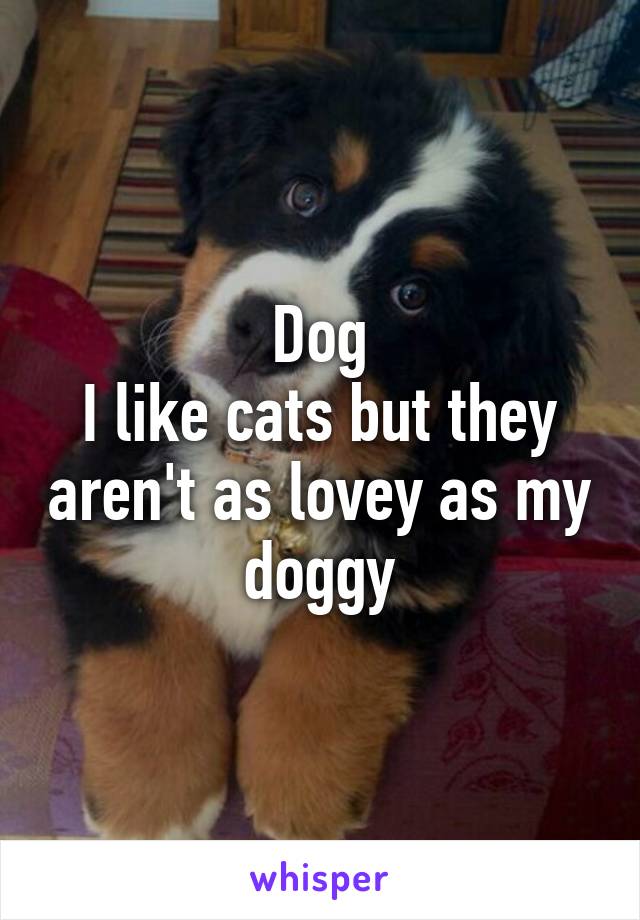 Dog
I like cats but they aren't as lovey as my doggy