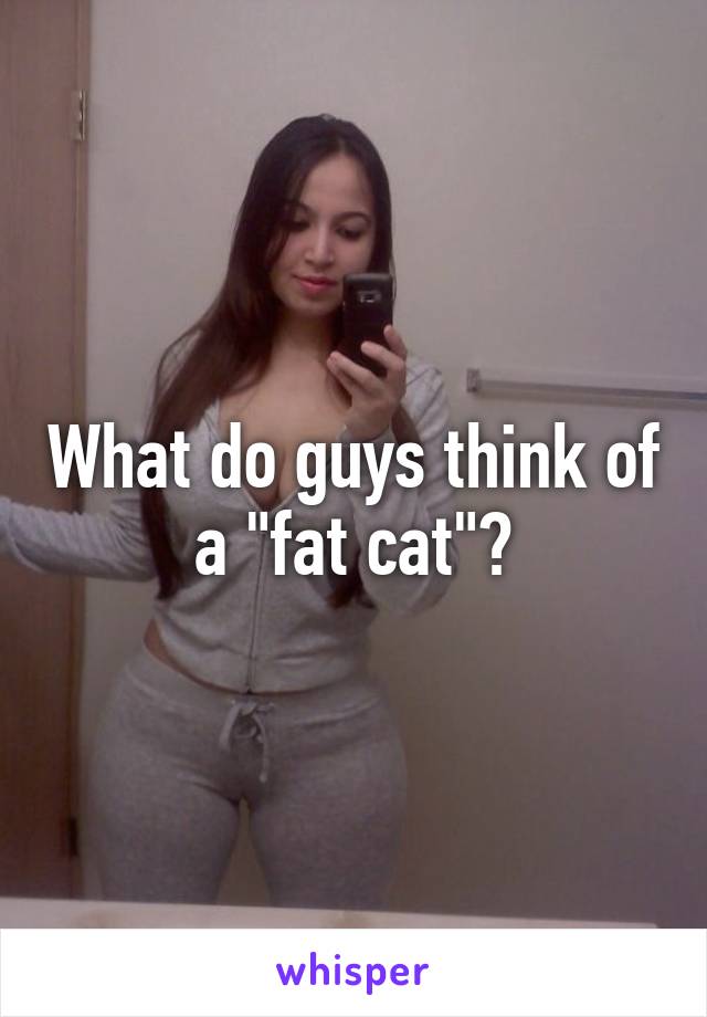 What do guys think of a "fat cat"?