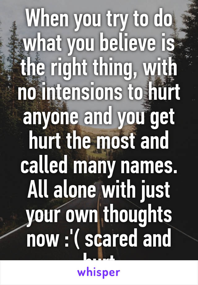 When you try to do what you believe is the right thing, with no intensions to hurt anyone and you get hurt the most and called many names. All alone with just your own thoughts now :'( scared and hurt