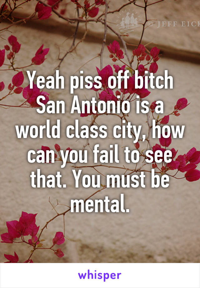 Yeah piss off bitch San Antonio is a world class city, how can you fail to see that. You must be mental.