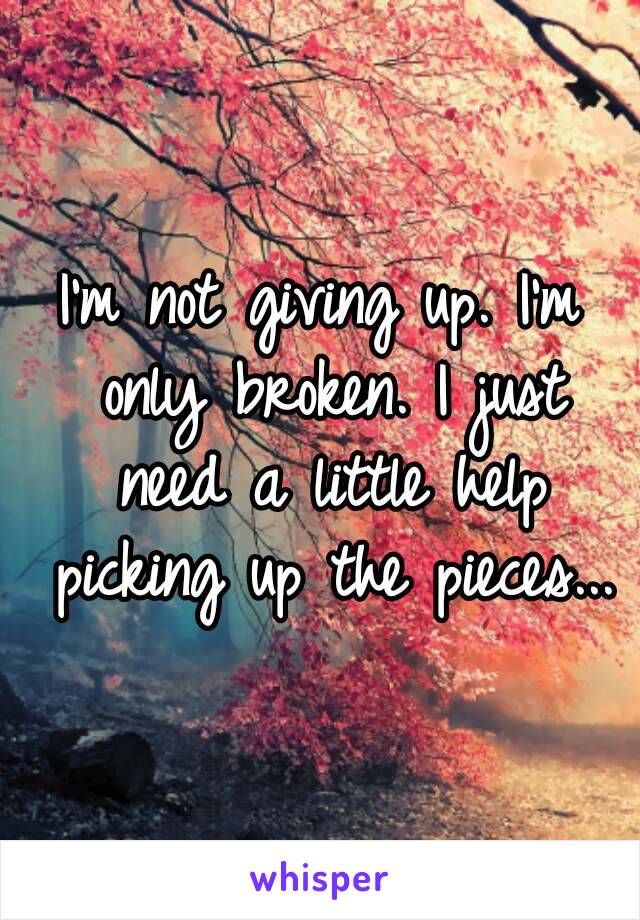 I'm not giving up. I'm only broken. I just need a little help picking up the pieces...