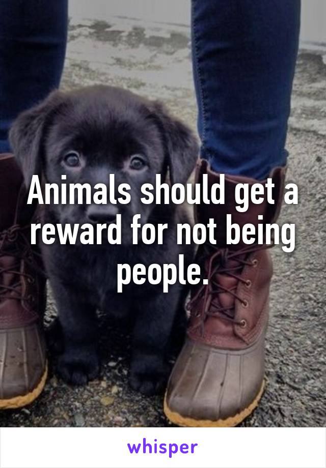 Animals should get a reward for not being people.