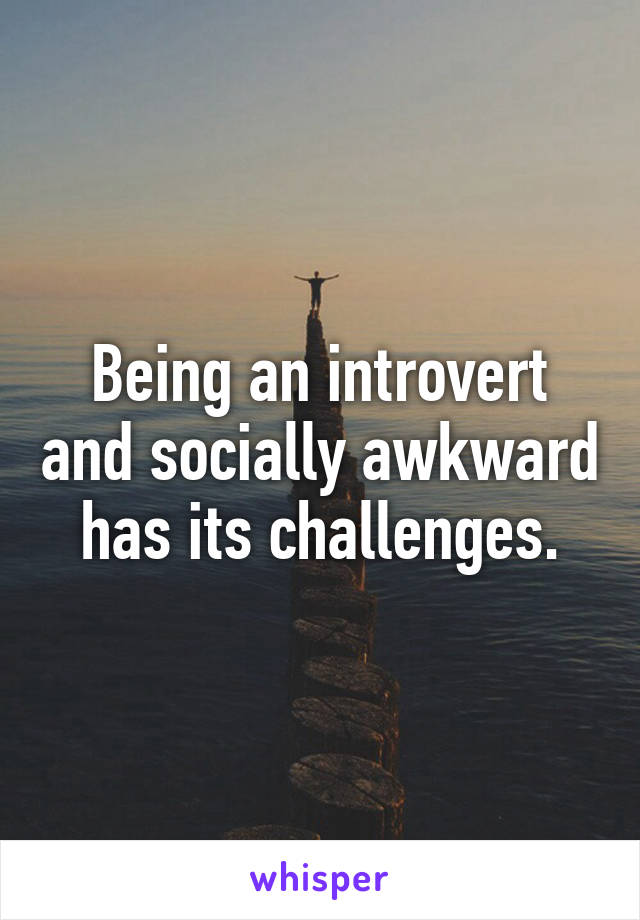 Being an introvert and socially awkward has its challenges.