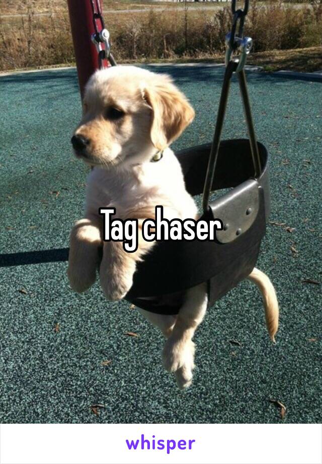 Tag chaser 