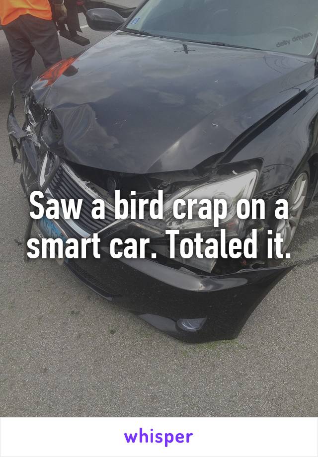 Saw a bird crap on a smart car. Totaled it.