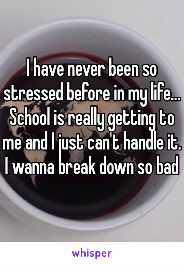 I have never been so stressed before in my life... School is really getting to me and I just can't handle it. I wanna break down so bad