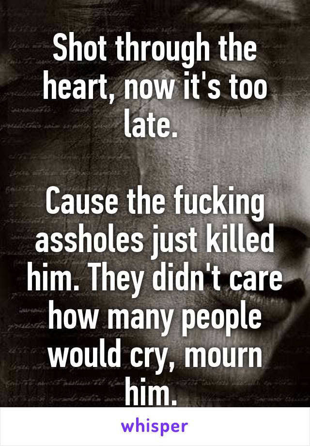 Shot through the heart, now it's too late. 

Cause the fucking assholes just killed him. They didn't care how many people would cry, mourn him. 