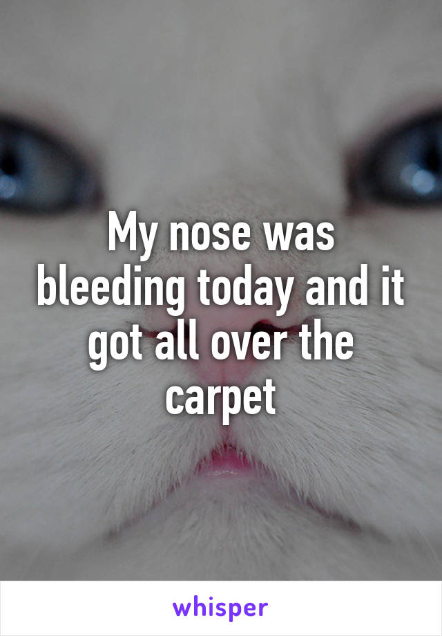 My nose was bleeding today and it got all over the carpet