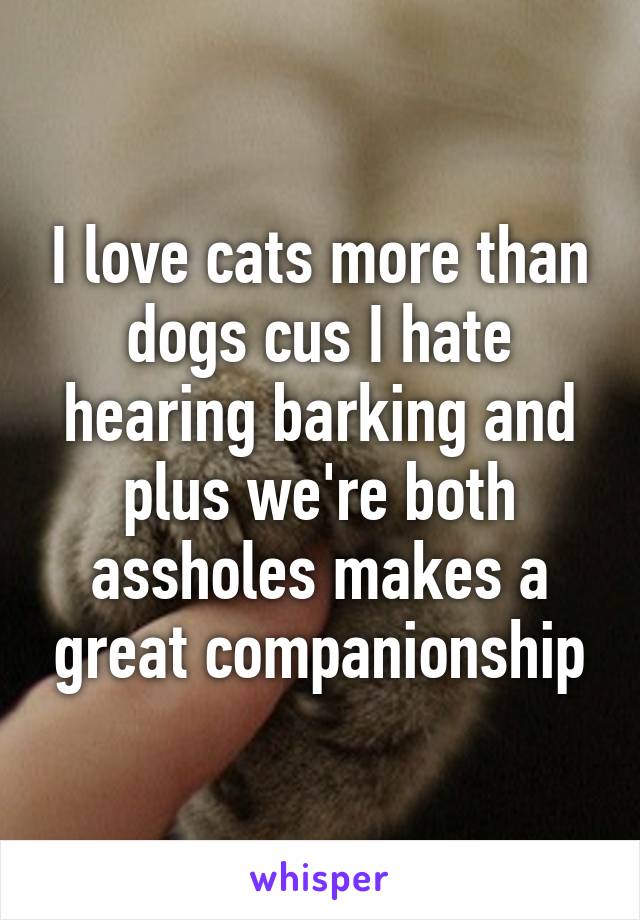 I love cats more than dogs cus I hate hearing barking and plus we're both assholes makes a great companionship