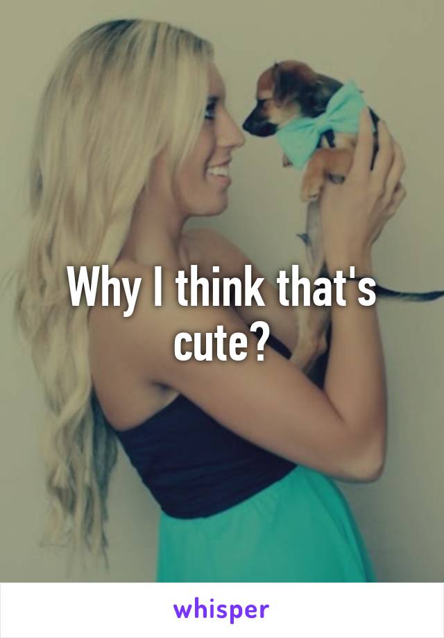 Why I think that's cute?