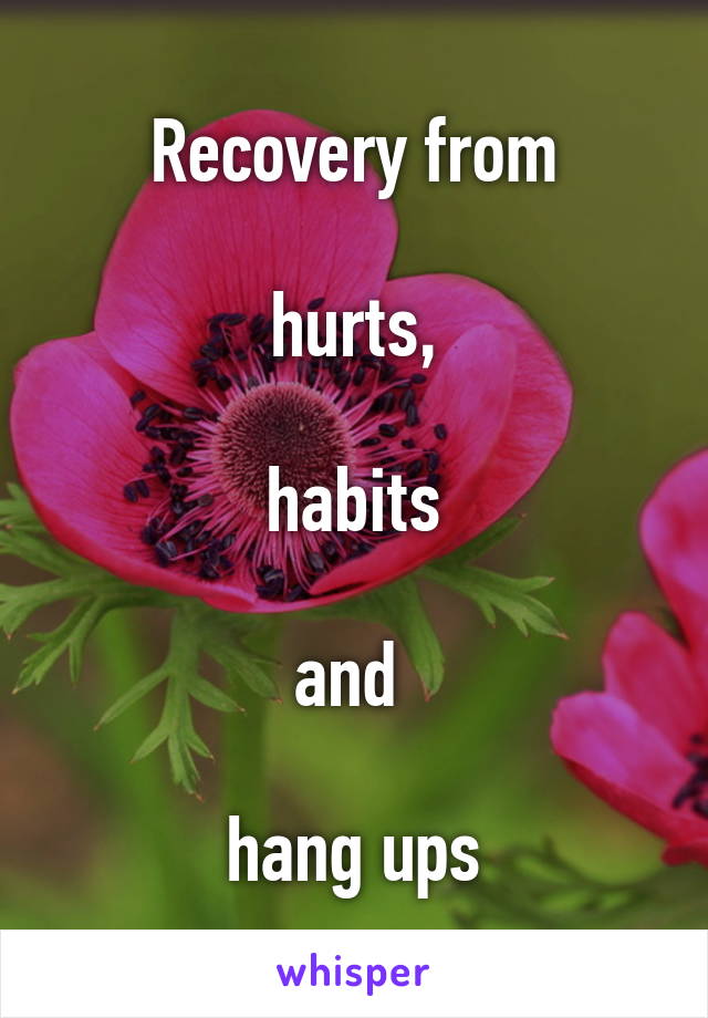 Recovery from

hurts,

habits

and 

hang ups