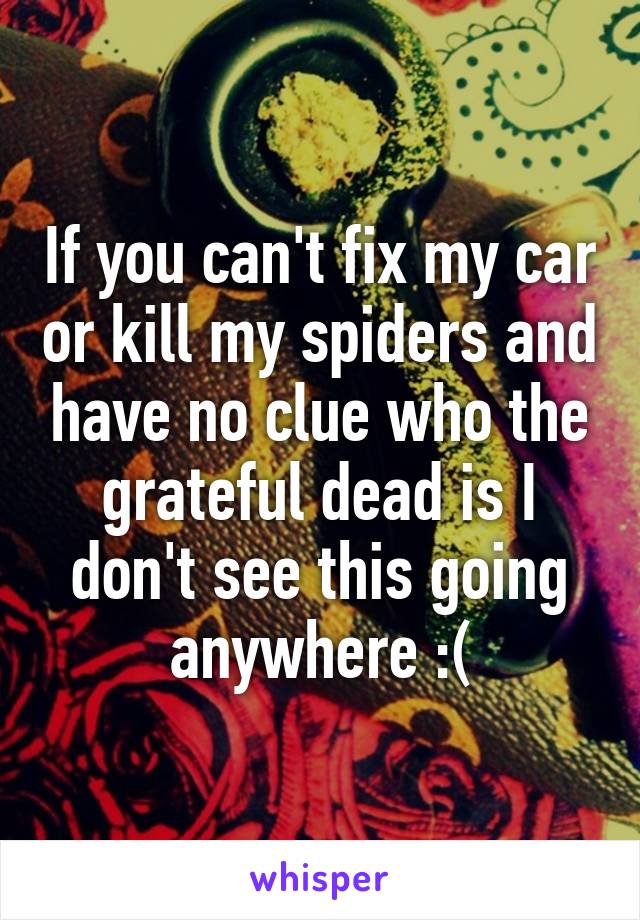 If you can't fix my car or kill my spiders and have no clue who the grateful dead is I don't see this going anywhere :(