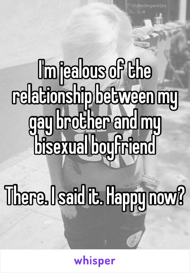 I'm jealous of the relationship between my gay brother and my bisexual boyfriend

There. I said it. Happy now?