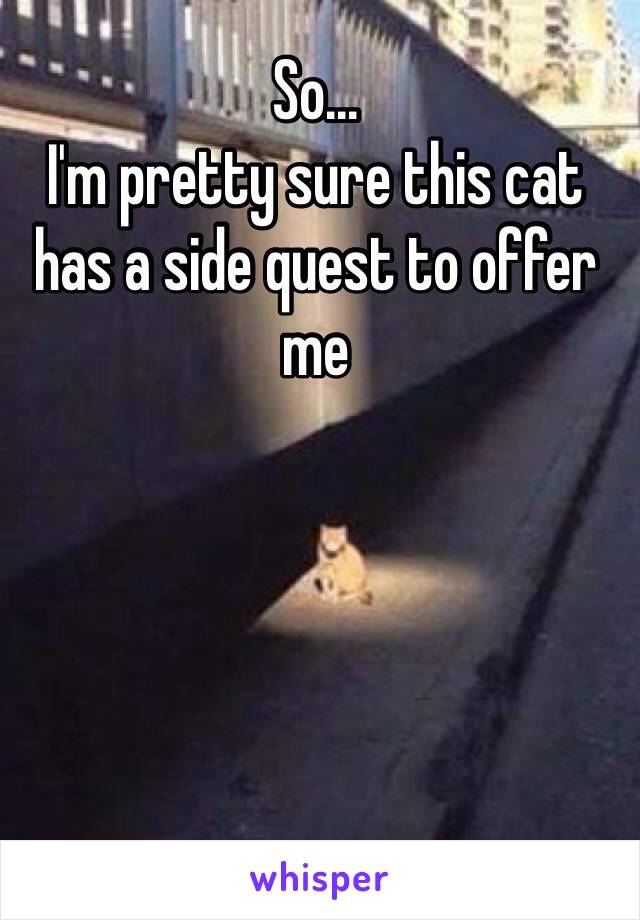 So...
I'm pretty sure this cat has a side quest to offer me