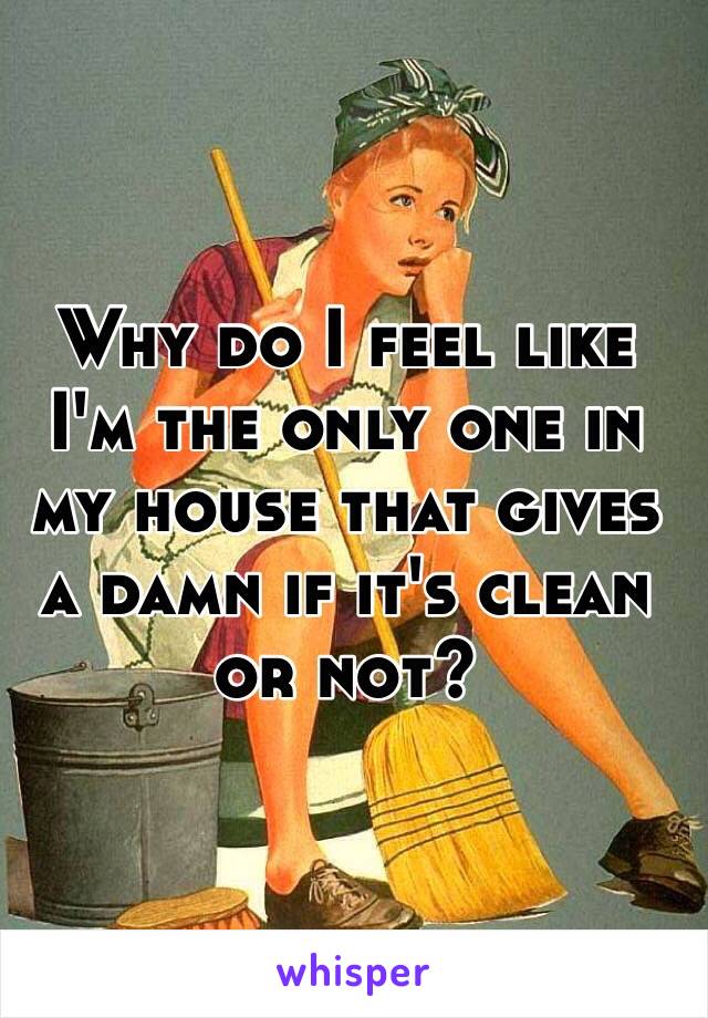 Why do I feel like I'm the only one in my house that gives a damn if it's clean or not? 