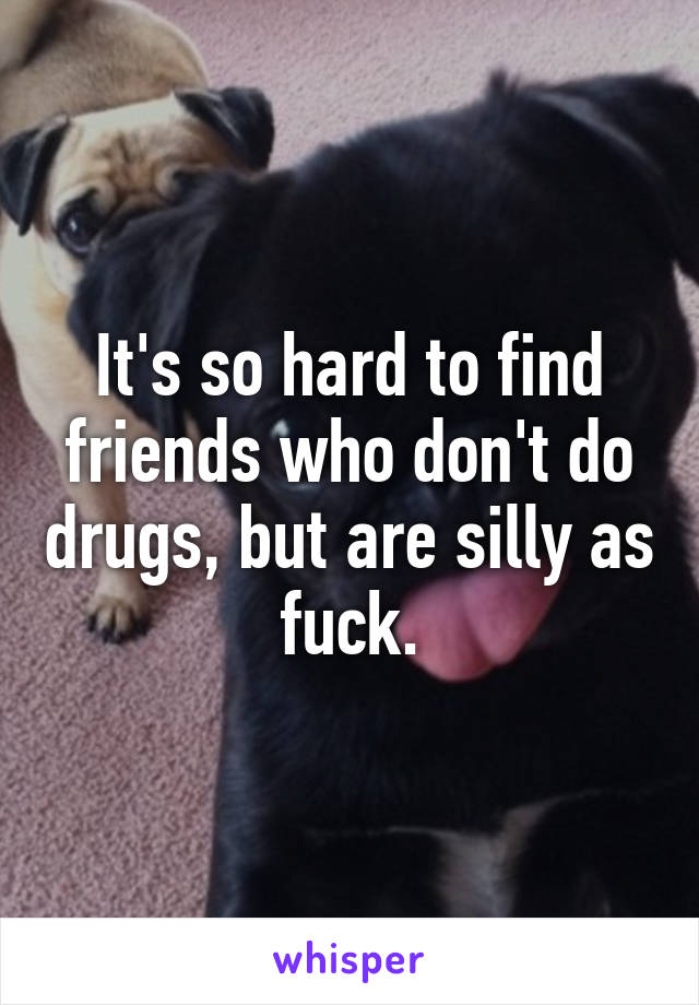 It's so hard to find friends who don't do drugs, but are silly as fuck.