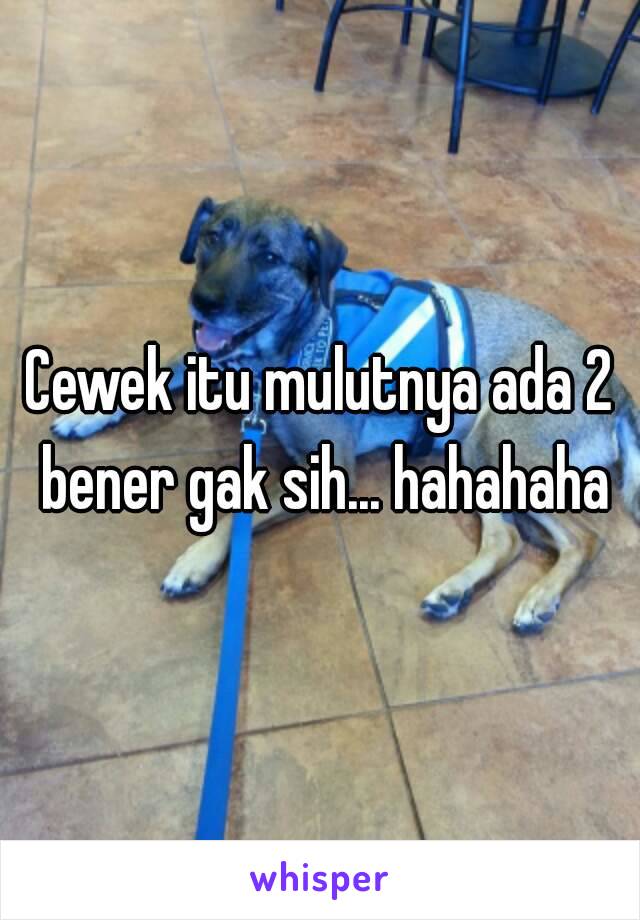 Cewek itu mulutnya ada 2 bener gak sih... hahahaha