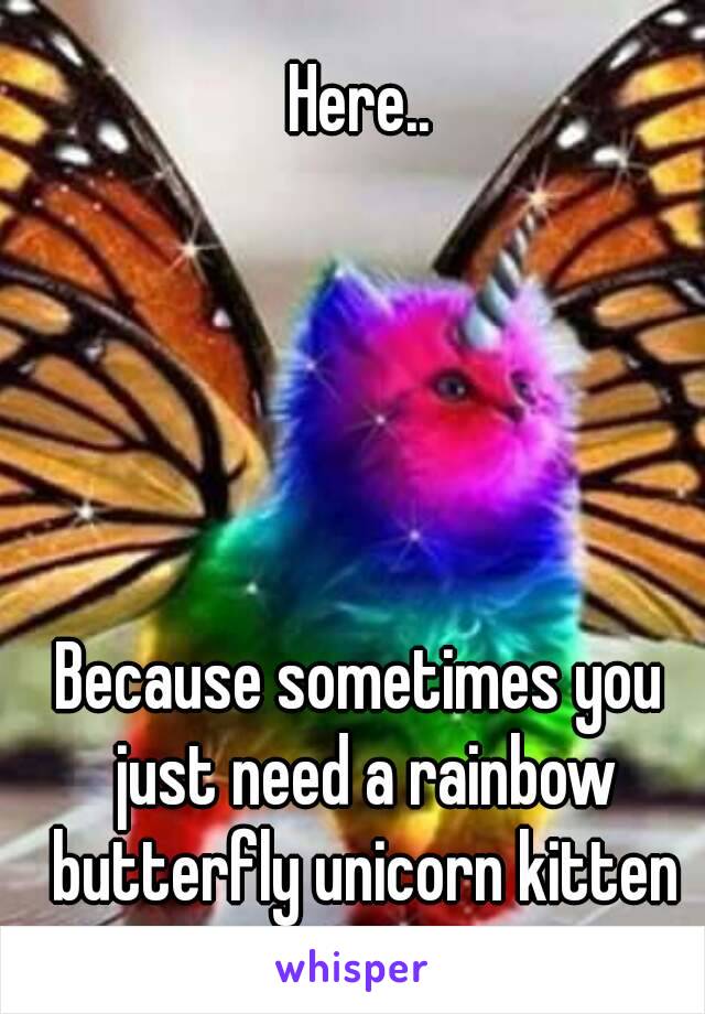 Here..





Because sometimes you just need a rainbow butterfly unicorn kitten