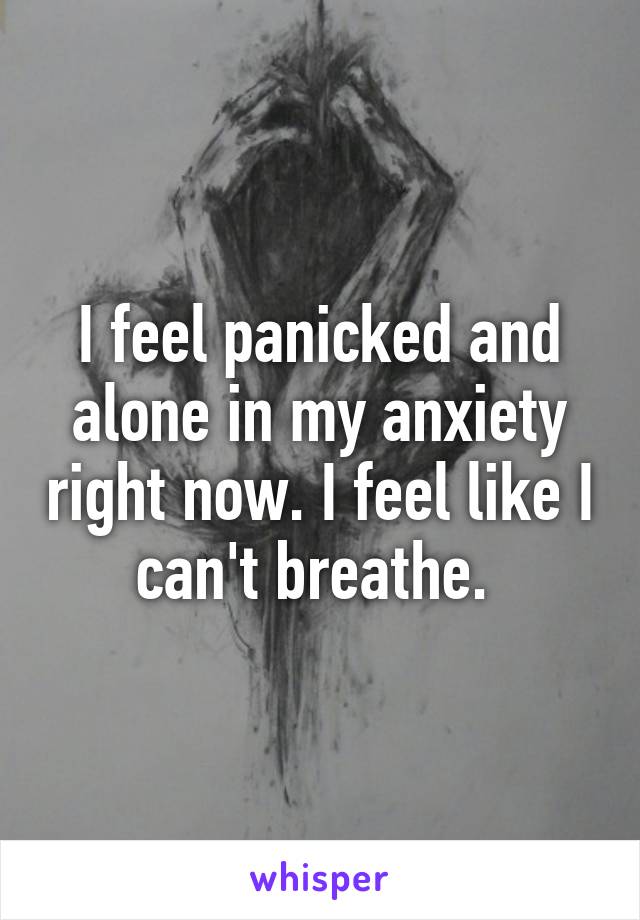 I feel panicked and alone in my anxiety right now. I feel like I can't breathe. 