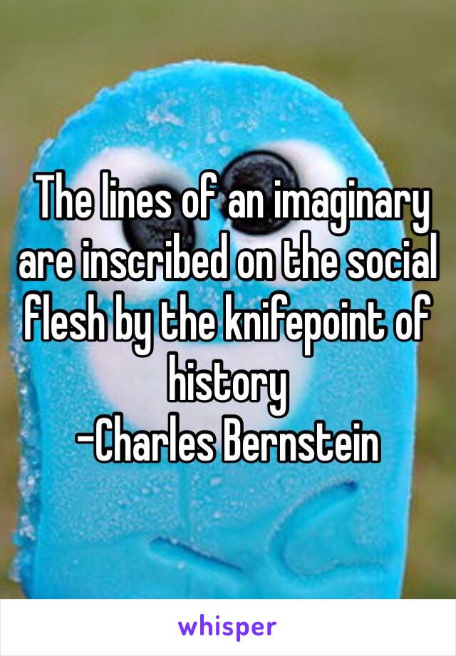  The lines of an imaginary are inscribed on the social flesh by the knifepoint of history
-Charles Bernstein