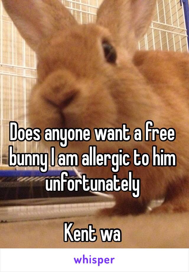 Does anyone want a free bunny I am allergic to him unfortunately 

Kent wa