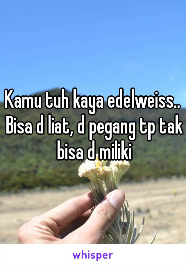 Kamu tuh kaya edelweiss.. Bisa d liat, d pegang tp tak bisa d miliki