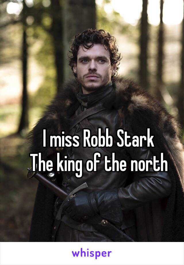 I miss Robb Stark
The king of the north 