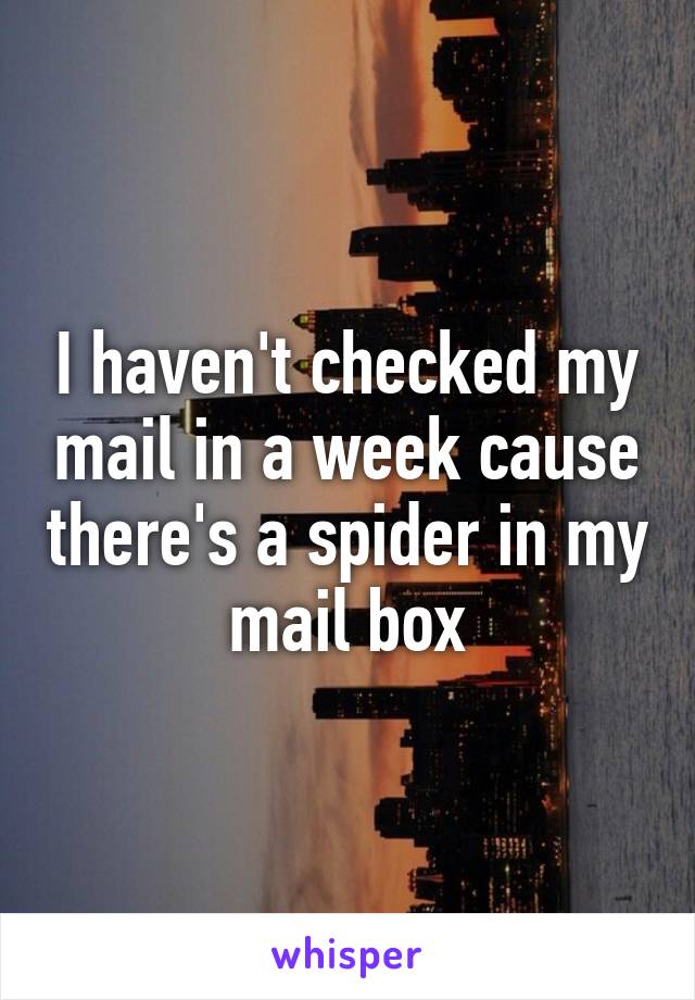 I haven't checked my mail in a week cause there's a spider in my mail box