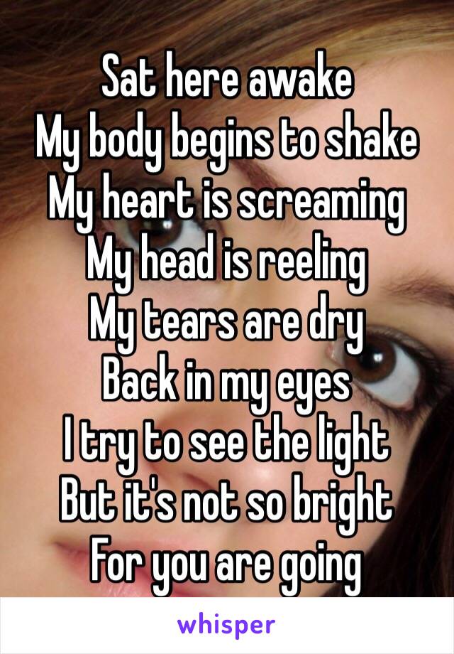 Sat here awake 
My body begins to shake 
My heart is screaming 
My head is reeling 
My tears are dry 
Back in my eyes 
I try to see the light 
But it's not so bright 
For you are going 