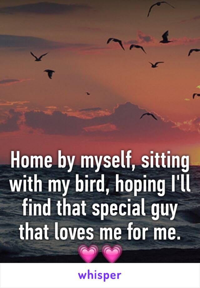 Home by myself, sitting with my bird, hoping I'll find that special guy that loves me for me. 💗💗