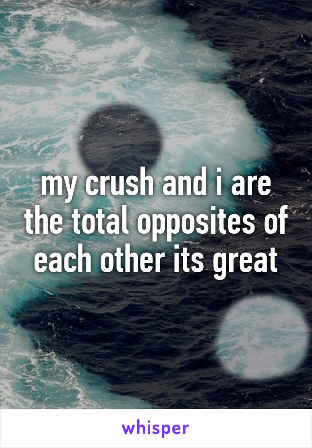 my crush and i are the total opposites of each other its great