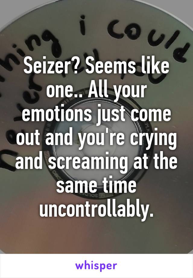 Seizer? Seems like one.. All your emotions just come out and you're crying and screaming at the same time uncontrollably.