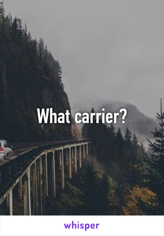 What carrier?