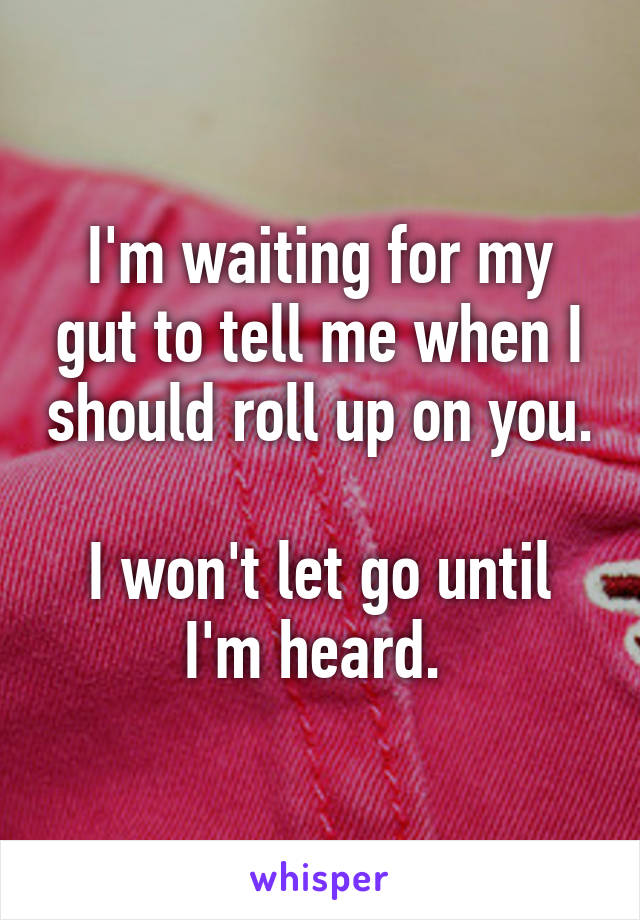 I'm waiting for my gut to tell me when I should roll up on you. 
I won't let go until I'm heard. 