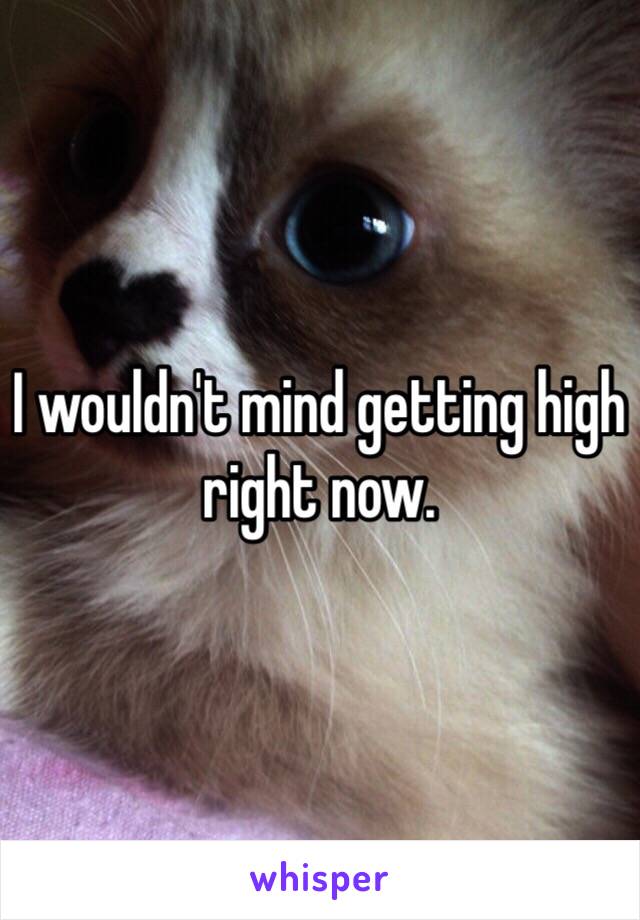 I wouldn't mind getting high right now.