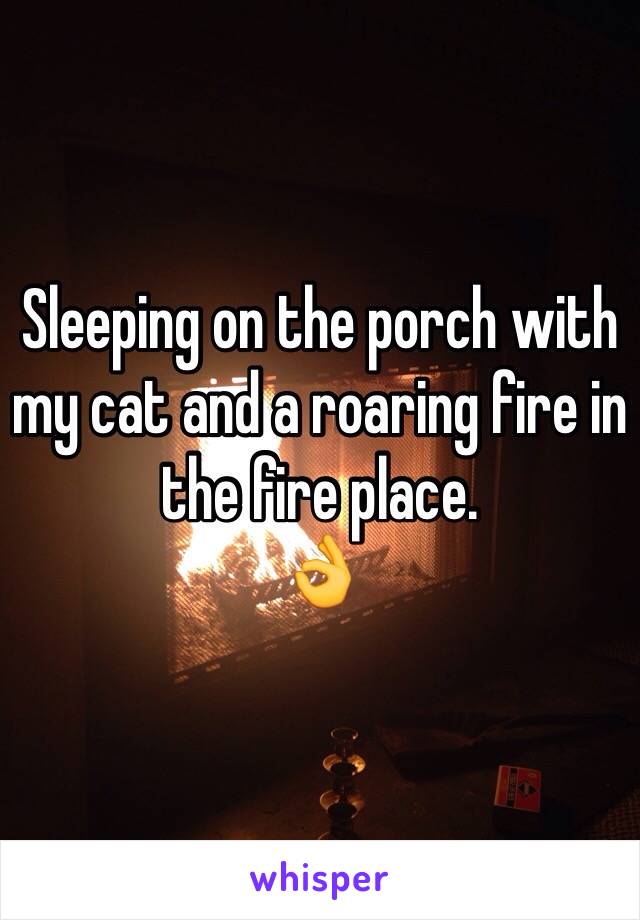 Sleeping on the porch with my cat and a roaring fire in the fire place.
👌