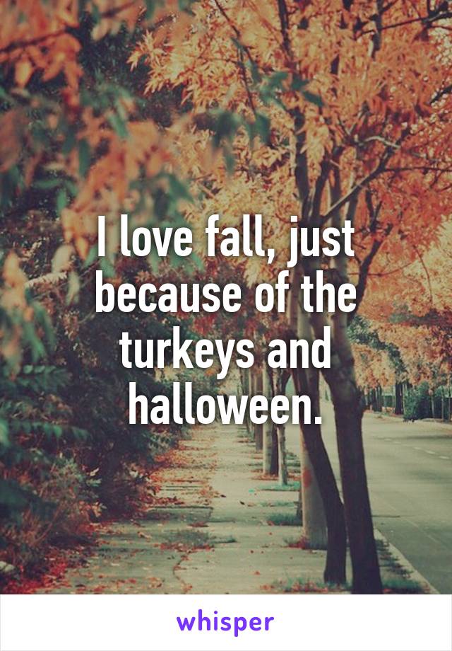 I love fall, just because of the turkeys and halloween.