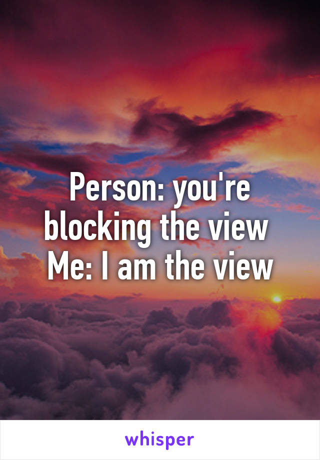 Person: you're blocking the view 
Me: I am the view