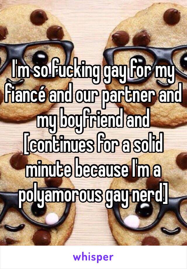 I'm so fucking gay for my fiancé and our partner and my boyfriend and [continues for a solid minute because I'm a polyamorous gay nerd]