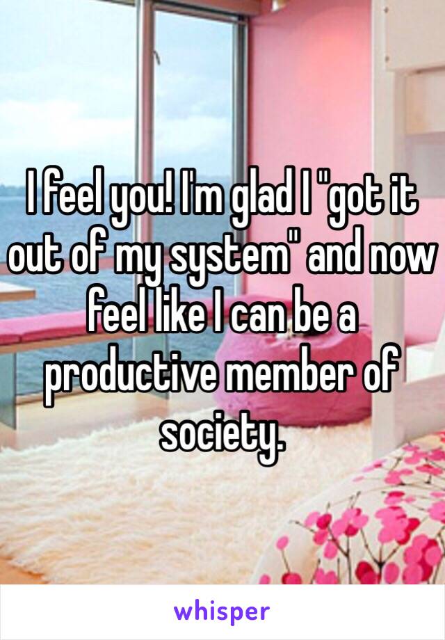 I feel you! I'm glad I "got it out of my system" and now feel like I can be a productive member of society. 